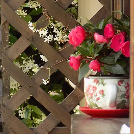 Апартаменты Alisachni