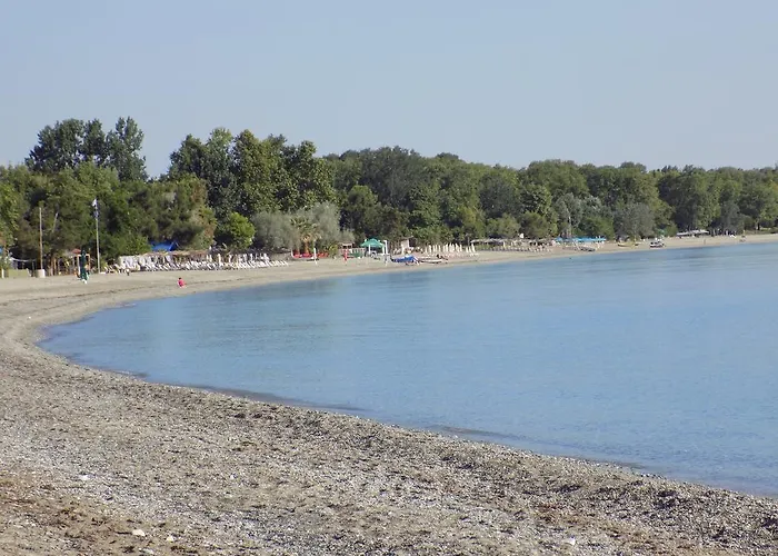 Apartament Alisachni *