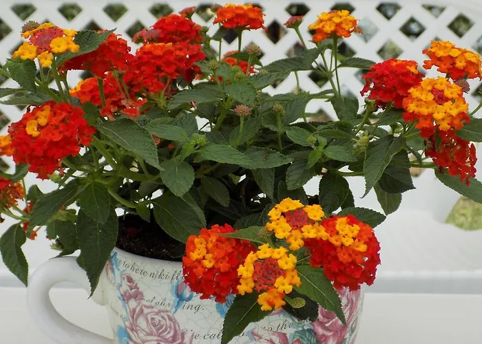 Alisachni Apartamento Paralia Panteleimonos